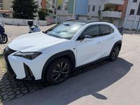 Usata Lexus UX 250h 145 CV (106 kW) 2023 SUV