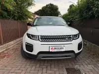 Usata Land Rover Range Rover evoque 150 CV (110 kW) 2019 Bianco SUV