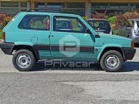 Usata Fiat Panda 4x4 Trekking 54 CV (39 kW) 2003 Verde Utilitaria