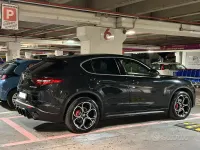 Usata Alfa Romeo Stelvio 210 CV (154 kW) 2019 Nero SUV