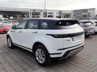 Usata Land Rover Range Rover evoque S 180 CV (132 kW) 2020 Bianco SUV