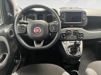 Usata Fiat Panda City Life 70 CV (51 kW) 2022 Bianco