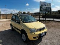 Usata Fiat Panda 4x4 2005 Utilitaria