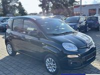 Usata Fiat Panda Easy 69 CV (50 kW) 2018 Nero Utilitaria