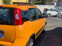 Usata Fiat Panda 4x4 S 85 CV (62 kW) 2017 Arancione Utilitaria