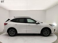 Usata Ford Kuga ST 225 CV (165 kW) 2021 Bianco SUV