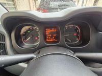 usata Fiat Panda 1.0 firefly hybrid s&s 70cv