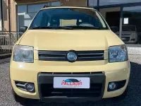 Usata Fiat Panda 4x4 60 CV (44 kW) 2005 Giallo Utilitaria