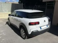 Usata Citroën C4 Shine 120 CV (88 kW) 2020 Bianco SUV