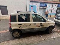 Usata Fiat Panda 60 CV (44 kW) 2008 Utilitaria