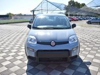 usata Fiat Panda 1.0 70CV HYBRID