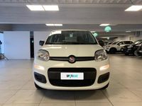 usata Fiat Panda 1.2 69cv E6d-Temp Easy