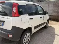 Usata Fiat Panda 4x4 85 CV (62 kW) 2020 Bianco Utilitaria