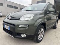 Usata Fiat Panda 4x4 Trekking 75 CV (55 kW) 2013 Verde Utilitaria