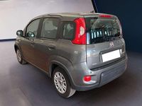 Usata Fiat Panda S 69 CV (50 kW) 2023 Other Utilitaria