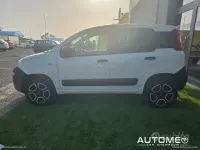 Usata Fiat Panda Pop 70 CV (51 kW) 2021 Bianco Utilitaria