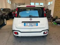 Usata Fiat Panda Cross Cross 69 CV (50 kW) 2021 Bianco Utilitaria
