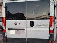 usata Fiat Ducato 2300 mj 9 posti