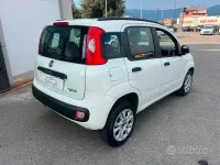 Usata Fiat Panda Easy 80 CV (58 kW) 2014 Bianco Utilitaria