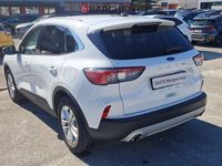 Usata Ford Kuga Titanium 120 CV (88 kW) 2020 Bianco SUV