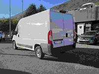 Usata Fiat Ducato 2024 Bianco Furgone