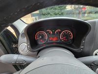 Usata Fiat Panda Cross 77 CV (56 kW) 2010 Verde Utilitaria