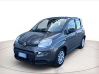 Usata Fiat Panda S 70 CV (51 kW) 2022 Grigio Utilitaria