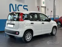 Usata Fiat Panda Easy 69 CV (50 kW) 2020 Bianco Utilitaria