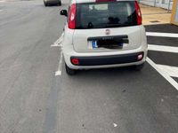 Usata Fiat Panda Easy 95 CV (69 kW) 2016 Bianco Utilitaria