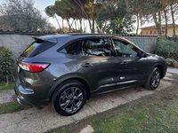 Usata Ford Kuga ST-Line X 224 CV (164 kW) 2023 SUV