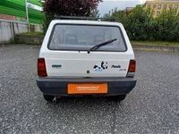 usata Fiat Panda 1100 i.e. cat College