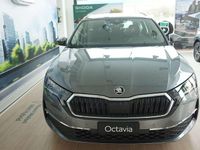 Nuova Skoda Octavia Executive 116 CV (85 kW) 2026 Grigio Station wagon