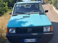 Usata Fiat Panda 4x4 Trekking 54 CV (39 kW) 1999 Verde Utilitaria