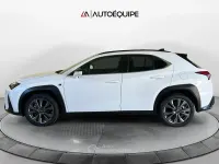 Usata Lexus UX 184 CV (135 kW) 2024 Nero SUV