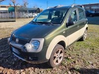 Usata Fiat Panda Cross 2007 Utilitaria