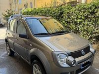 Usado Fiat Panda 4x4 Cross 69 CV (50 kW) 2006 Utilitario