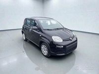 Usata Fiat Panda S 70 CV (51 kW) 2024 Nero Utilitaria