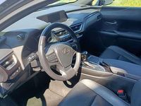 Usata Lexus UX 250h 184 CV (135 kW) 2019 Grigio SUV