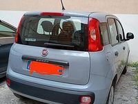 Usata Fiat Panda 69 CV (50 kW) 2019 Grigio Utilitaria