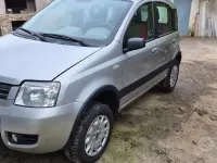 Usata Fiat Panda 4x4 Climbing 60 CV (44 kW) 2006 Grigio Utilitaria