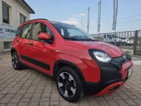 Usata Fiat Panda Cross Cross 69 CV (50 kW) 2022 Rosso Utilitaria