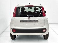 Nuova Fiat Panda Icon 65 CV (47 kW) 2026 Bianco Utilitaria