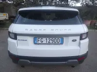 Usata Land Rover Range Rover evoque Pure 150 CV (110 kW) 2016 Bianco SUV