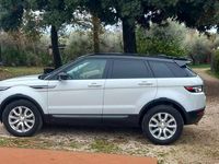 Usata Land Rover Range Rover evoque Pure 150 CV (110 kW) 2014 Bianco SUV