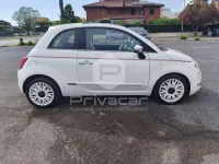 Usata Fiat 500 Star 70 CV (51 kW) 2020 Bianco Berlina