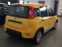Usata Fiat Panda Red 69 CV (50 kW) 2024 Giallo Utilitaria