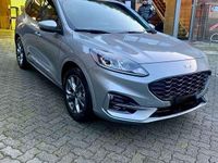 Usata Ford Kuga ST-Line 258 CV (189 kW) 2023 SUV