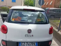 Usata Fiat 500L Pop 84 CV (61 kW) 2015 Bianco Monovolume