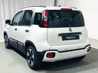 Usata Fiat Panda S 70 CV (51 kW) 2024 Gelato Utilitaria