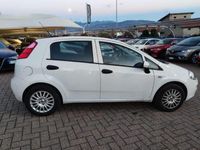 usata Fiat Punto 1.2 8V 5 porte Lounge NEOPATENTATI FINA